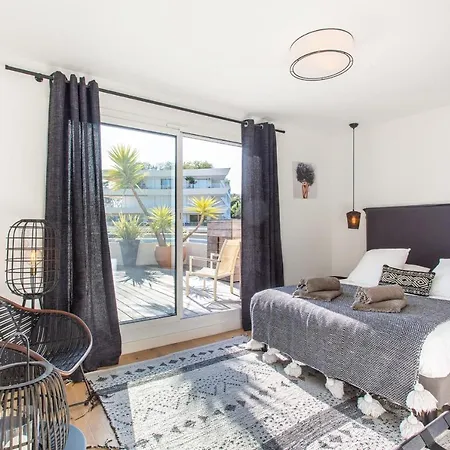 Hibiscus Penthouse 公寓 戛纳